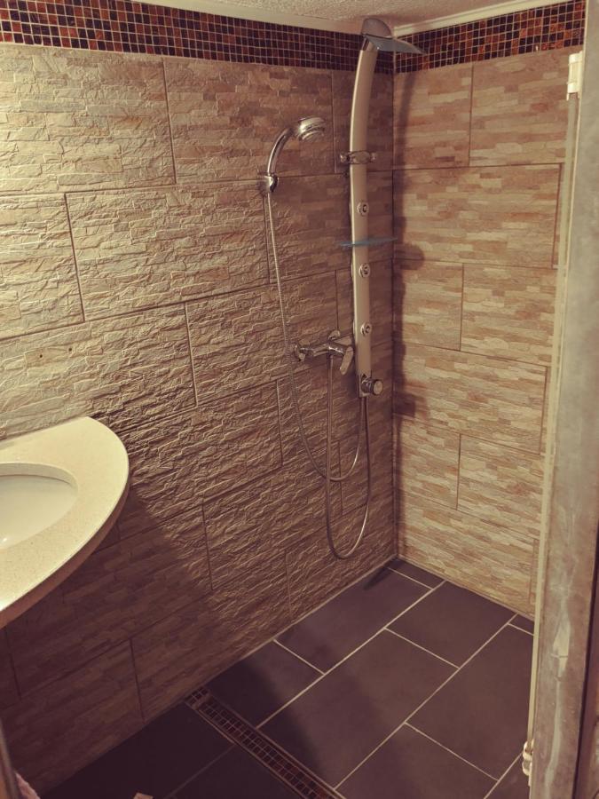 Appartment De Luxe Mit Sauna 브라운슈바이크 외부 사진